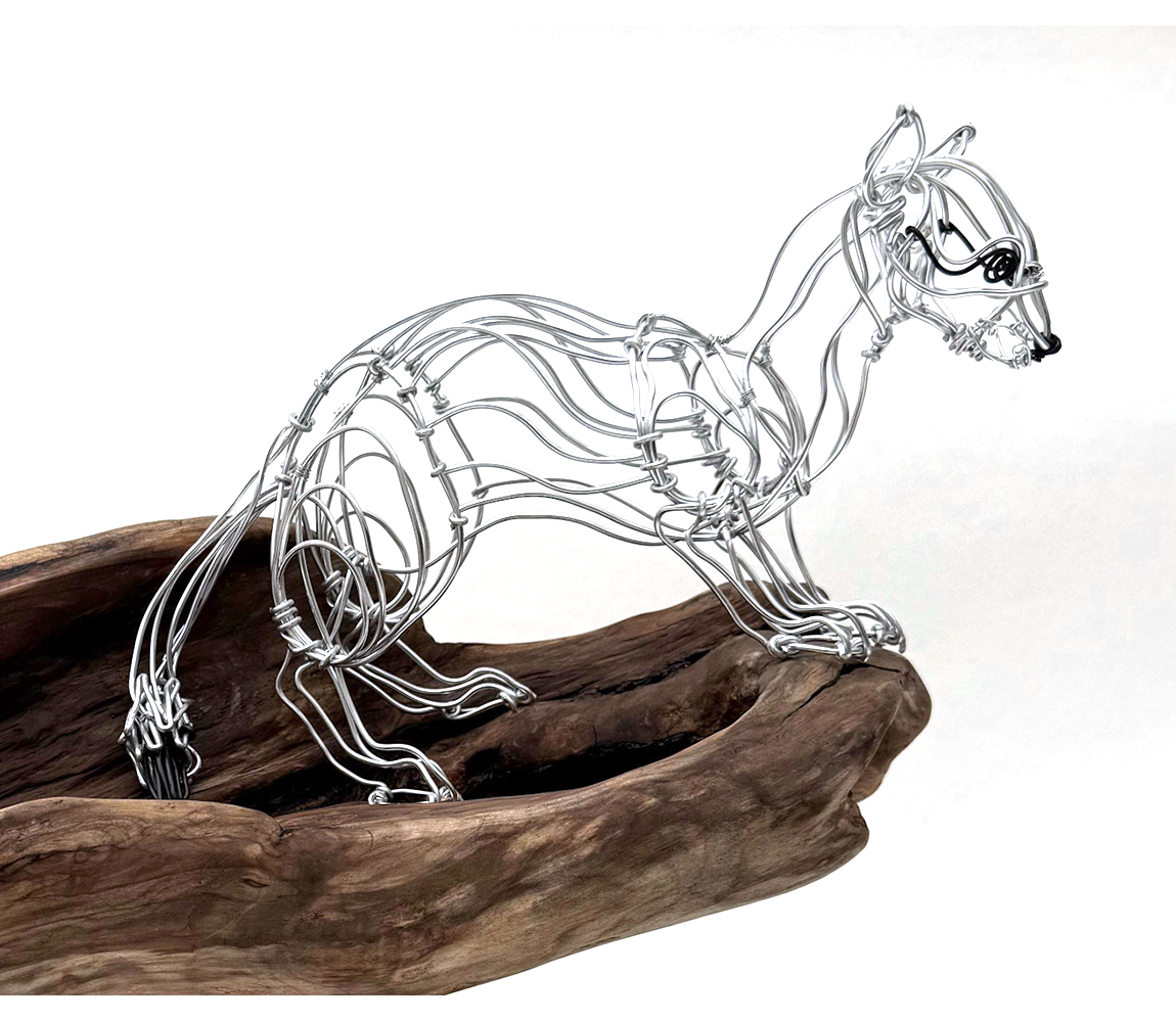 "Ermine" - Colleen Cotey